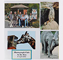 Photo Group at The Zoo