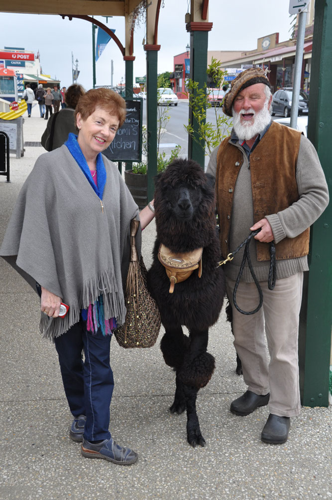 Meeting The Locals
