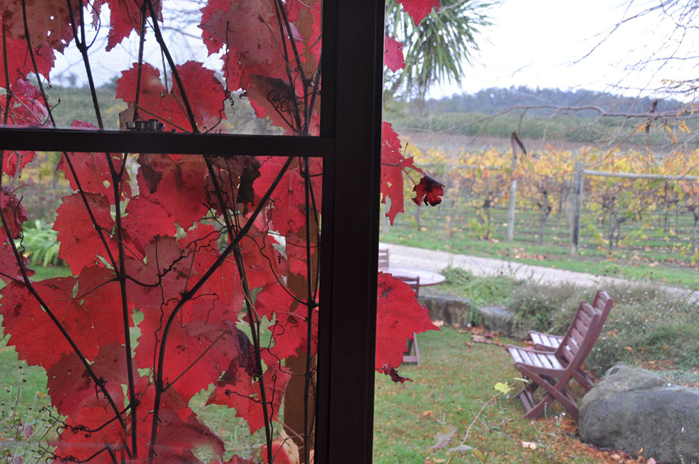 At The Tamar Vinyard
