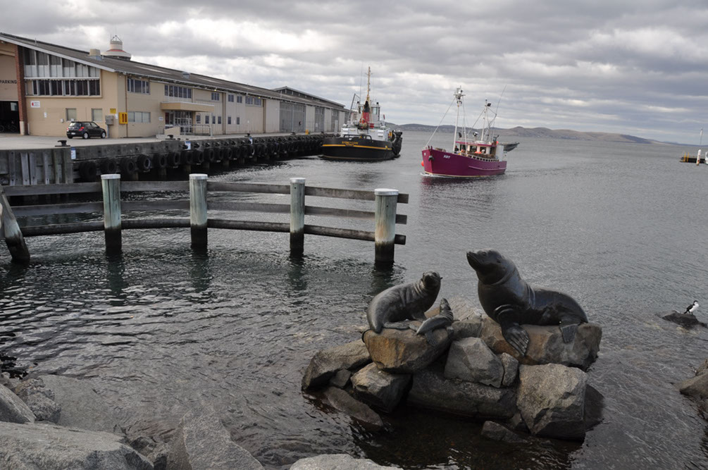 A Monument to The Seals in Hobart