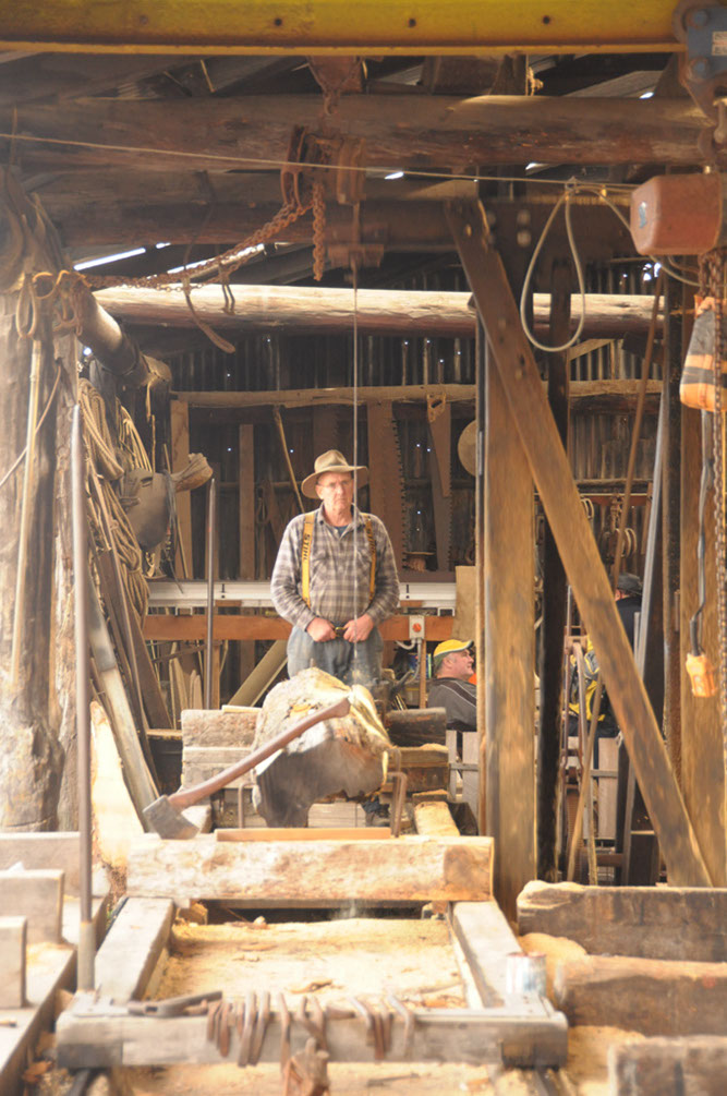 Working The Huon Pine at Strahan
