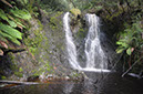 Hogarth Falls at Strahan