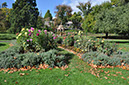 More of The Gardens