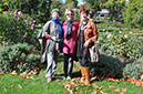 Visitors In The gardens